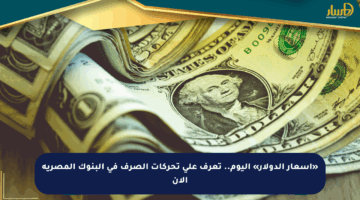 «أسعار الدولار» اليوم.. تعرف على تحركات الصرف في البنوك المصرية الآن